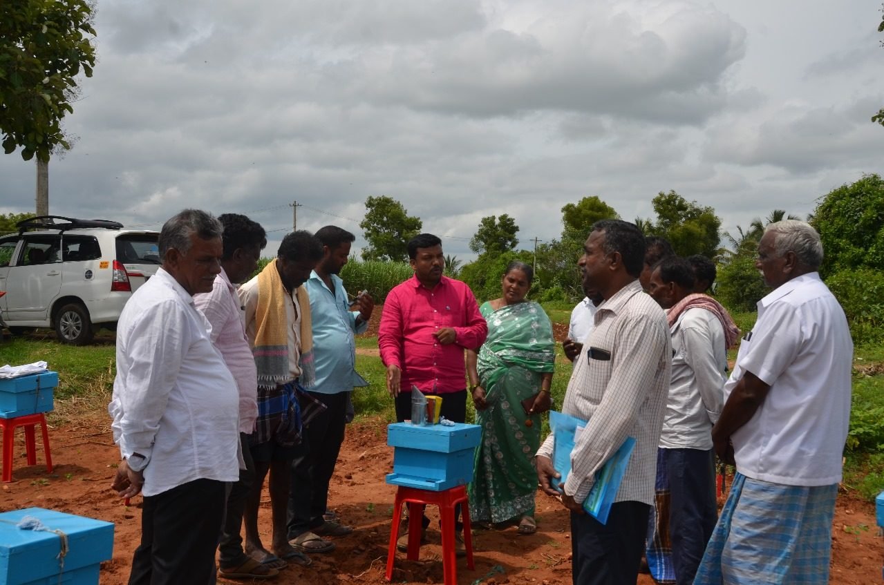 Beekeeping training session for farmers in the field