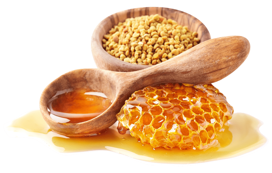Honeycomb with pollen and honey dipper